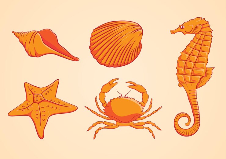 Vector five types of sea beasts cartoon
