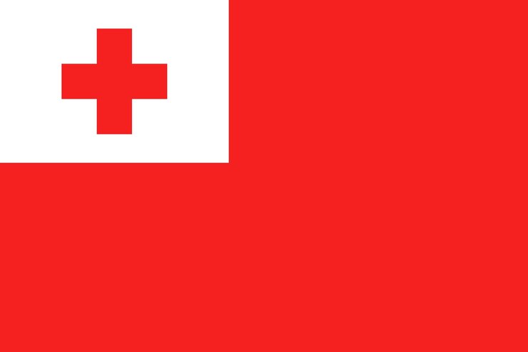 Vector flag of tonga