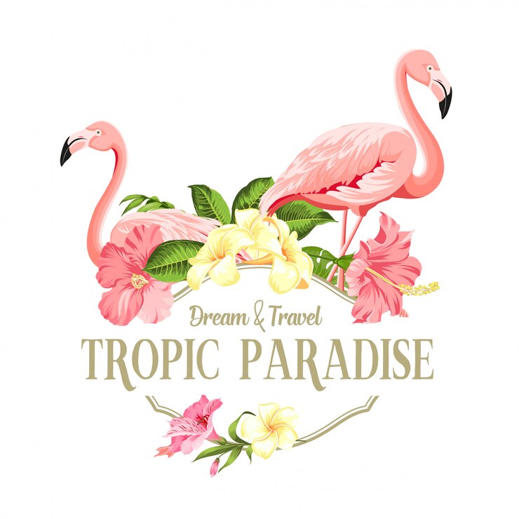 Vector flamingo bird and plumeria flowers isolated over white background.