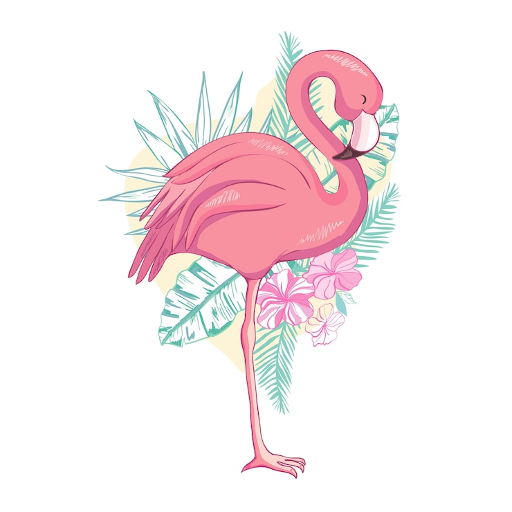 Vector flamingo bird  