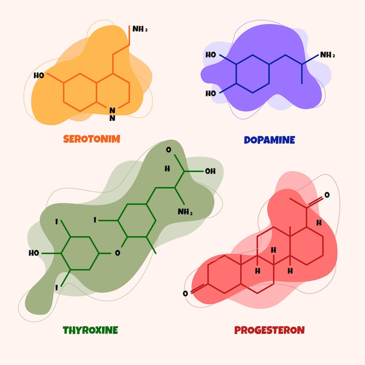 Vector flat design hormones element