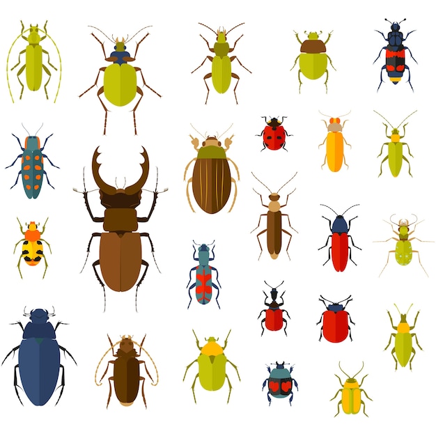 Flat insect set isolated on the white