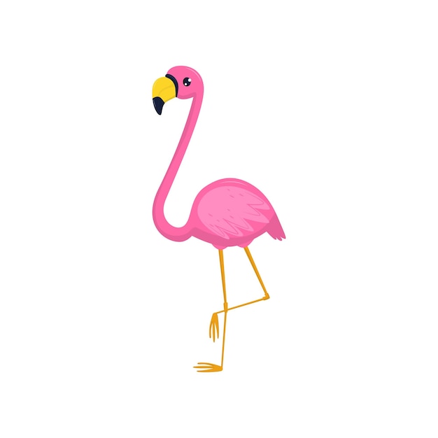 flat vector icon of flamingo tropical bird with pink plumage and long legs and neck element for postcard promo banner or flyer