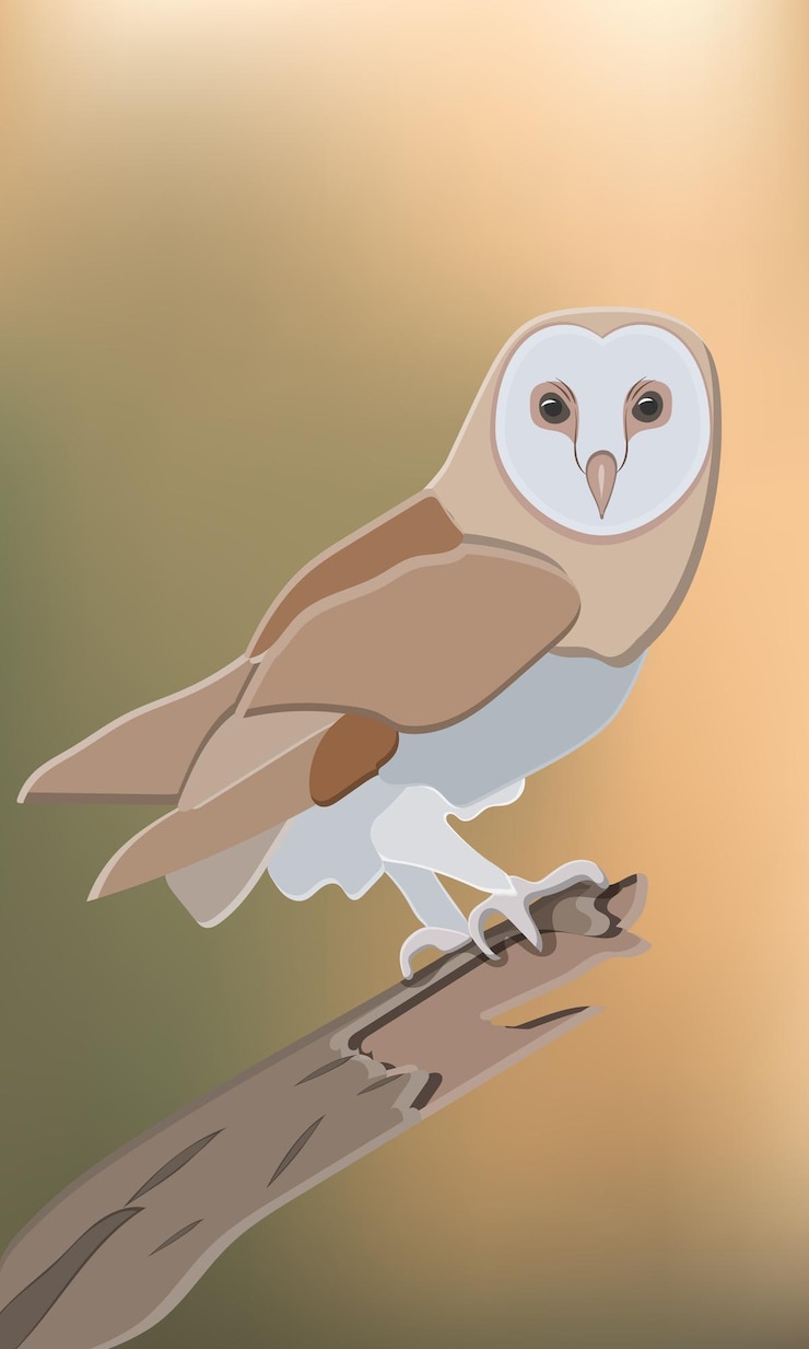 Vector flat wild owl drawing brown vector