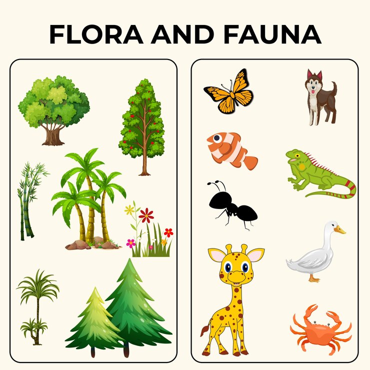 Vector flora and fauna