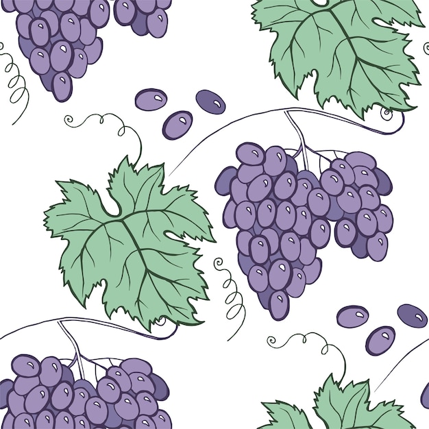 Floral grape seamless pattern Vector hand draw cartoon style