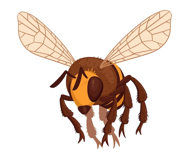 Flying bee insect Cartoon honey bee cute winged bumblebee Striped bee flat vector illustration on white background