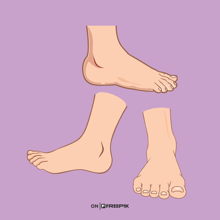 Vector foot character a purple background with a picture of a foot and a picture of a persons foot