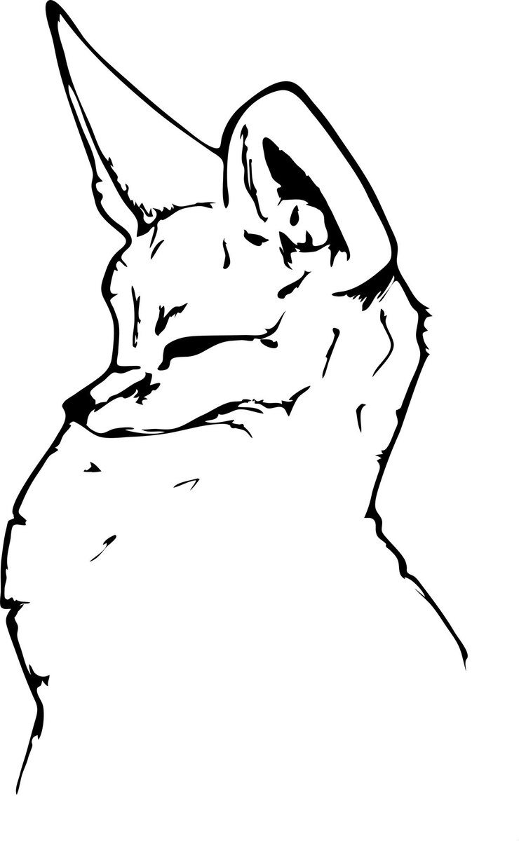 Vector foxie