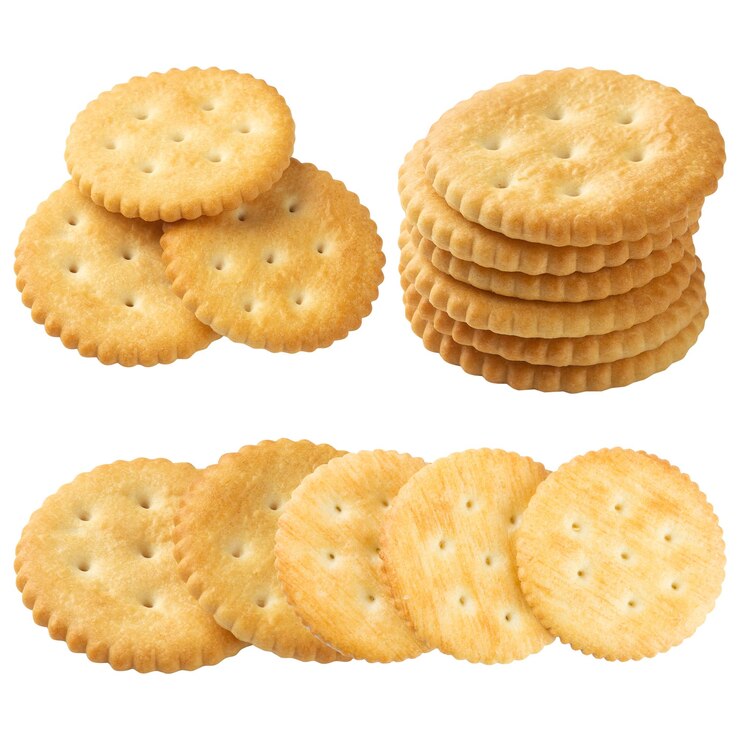 Vector free vector realistic biscuit cookies or cracker