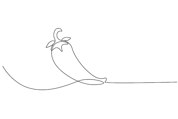 fresh chili continuous line drawing of isolate outline simple vector icon