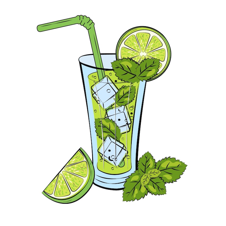 Vector fresh mojito cocktail doodle style glass lime wedge mint leaf ice drink straw vector