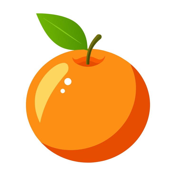 Vector fresh orange