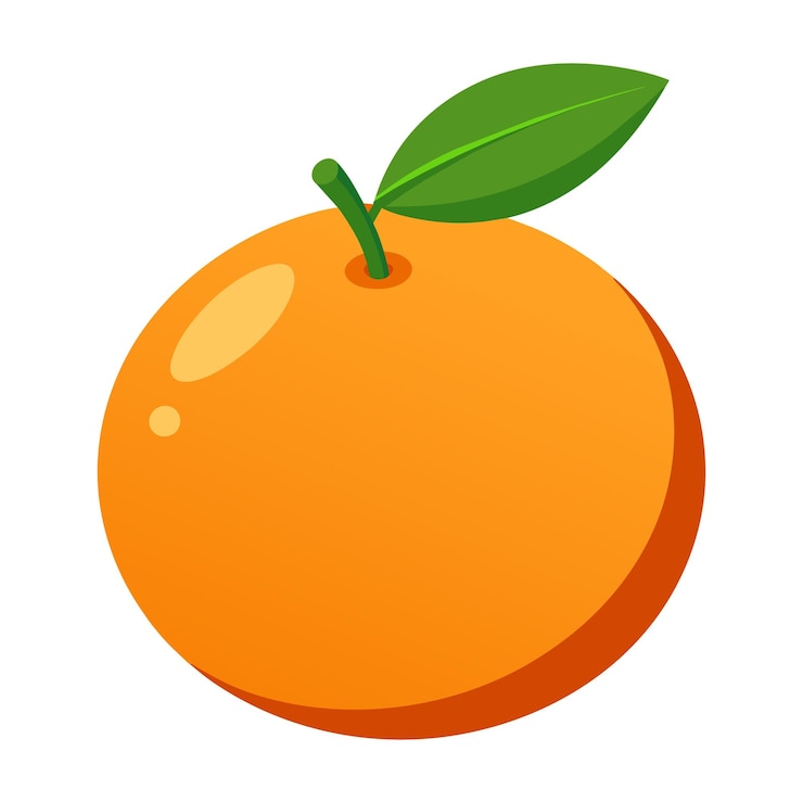 Vector fresh orange