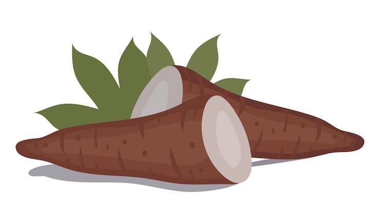 Vector fresh organic vegetable 