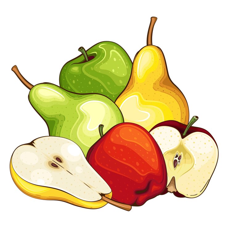 Fruit mix isolated vector illustration Fruits colorful illustrations isolated on white background