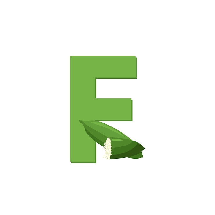 Vector fruits alphabet letter f for finger lime education for kids flat vector illustration