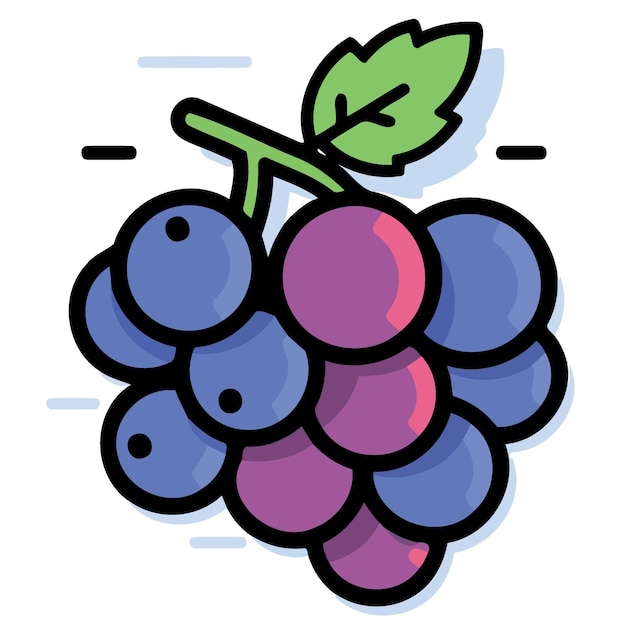 Fruits bunch of purple grapes