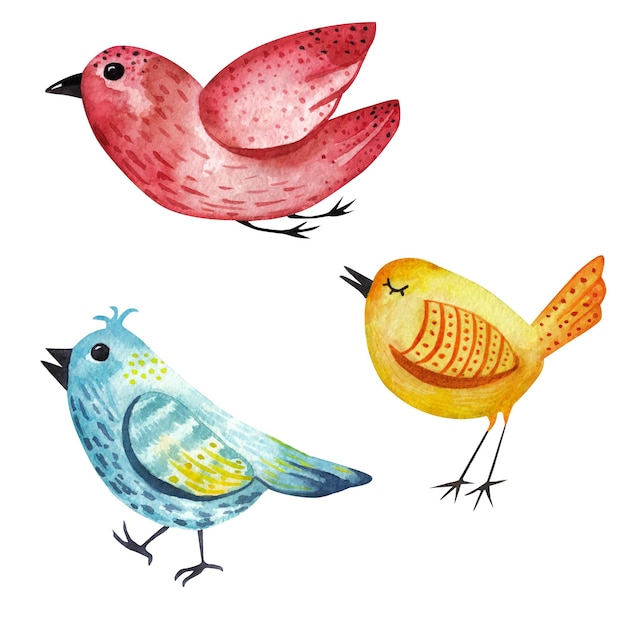 Funny colorful birds. watercolor set