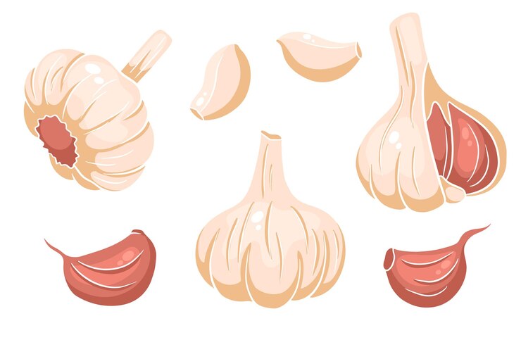Garlic set. Head of garlic, cloves, peeled and husked. In a cartoon style. Vector illustration for design and decoration.