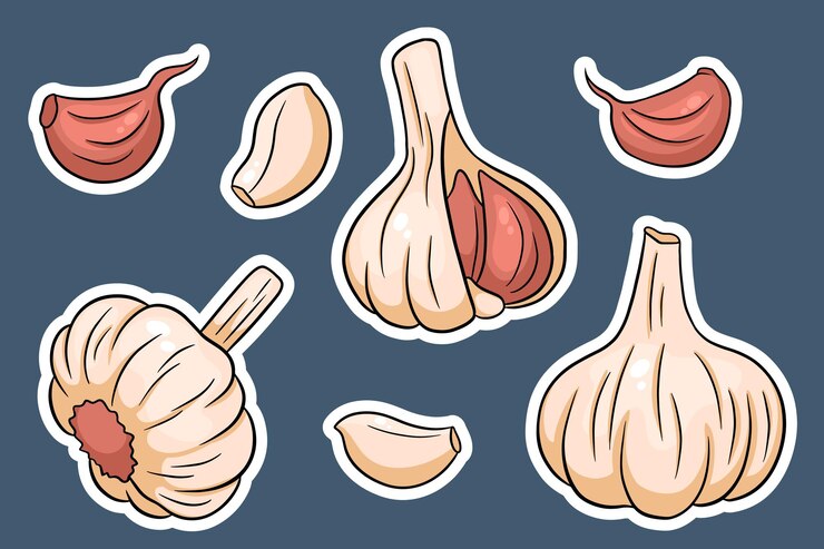 Garlic set. Head of garlic, cloves, peeled and husked. In cartoon style stickers. Vector illustration for design and decoration.