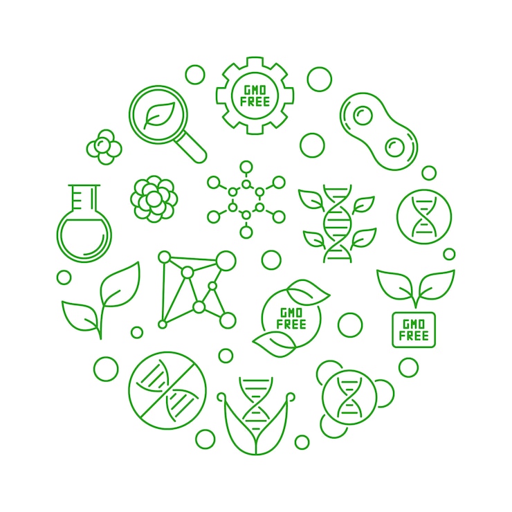  GMO Free round concept green line illustration