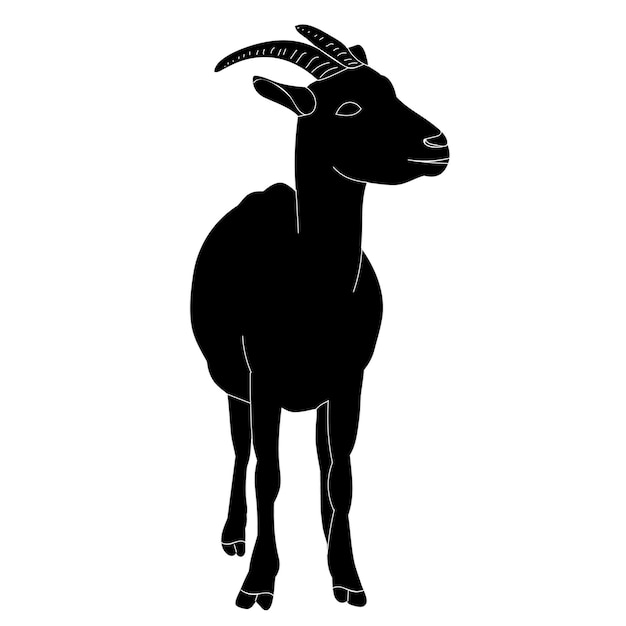 Goat with horns