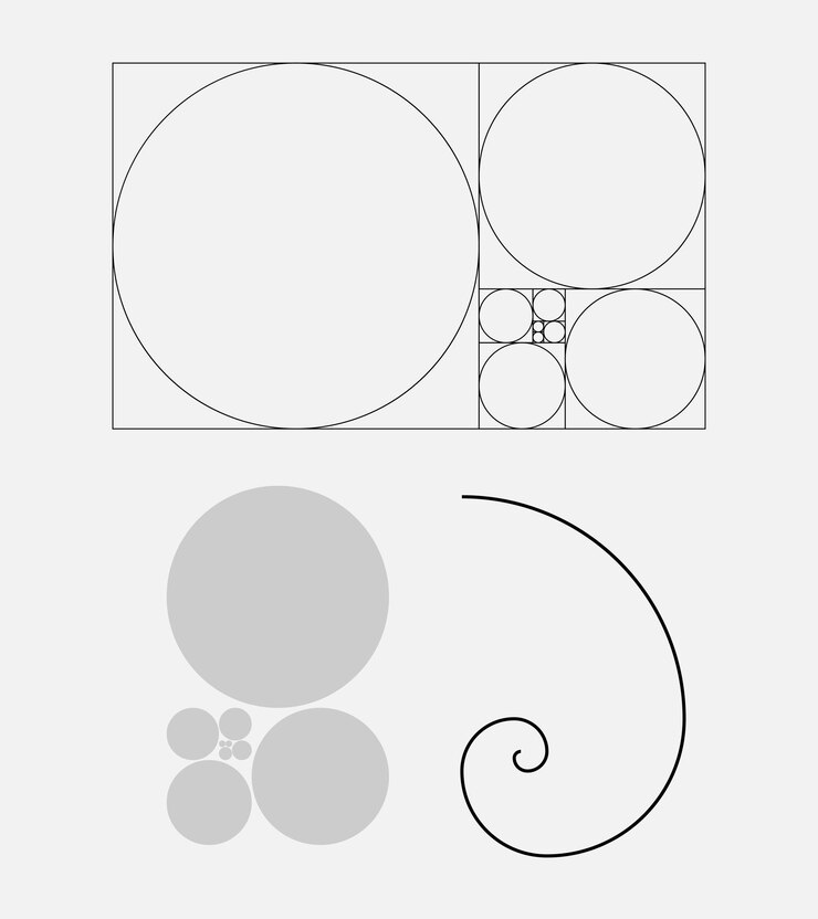 Golden Ratio Proportions Vector