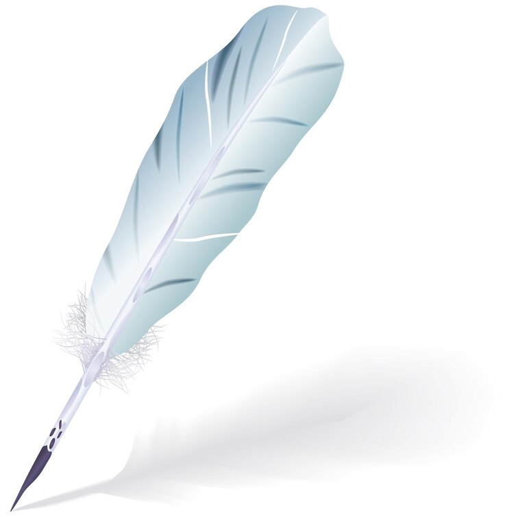 Goose feather