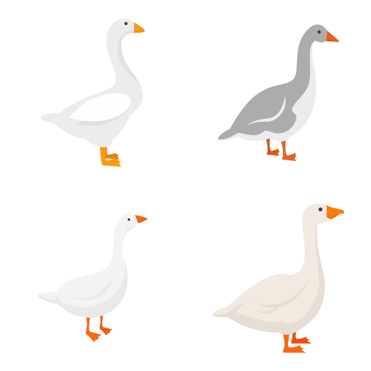 Vector goose icons set