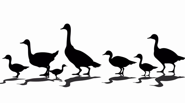 Vector graceful geese silhouette on clean white background vector illustration