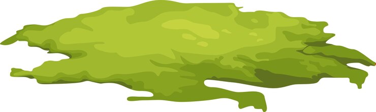 Grass Moss Illustration