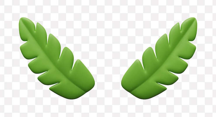 Vector green 3d leaf in different positions eco frame from plant elements
