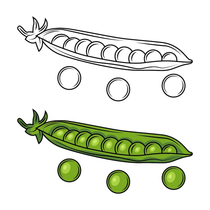 Vector green chickpeas cartoon style vector illustration