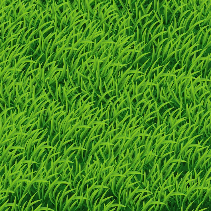 Green Grass Background.