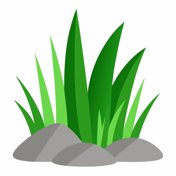 Green Grass Blades and Rocks Illustration for Nature and Garden Elements