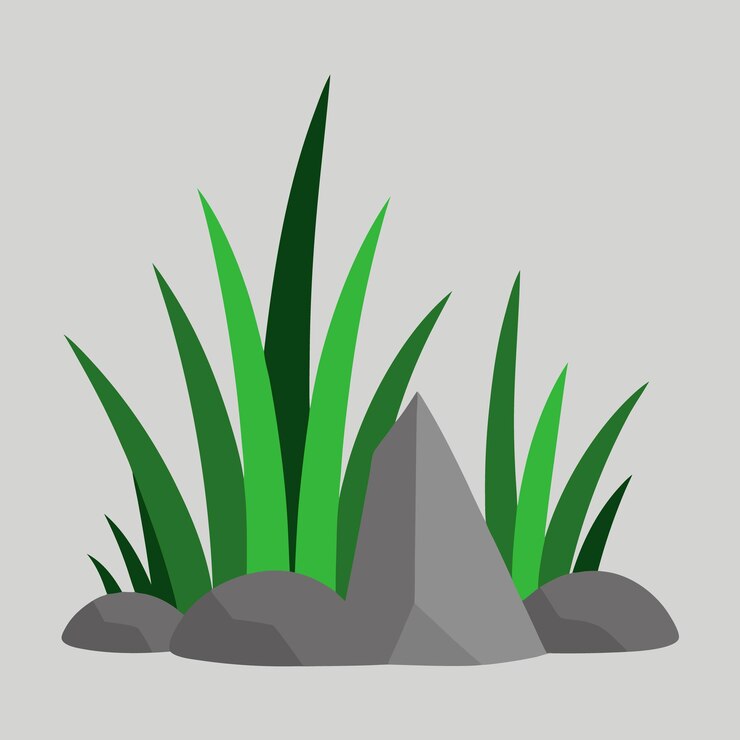 Green Grass Blades and Rocks Illustration for Nature and Garden Elements