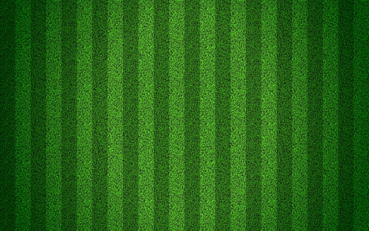 Green grass seamless texture on striped sport field