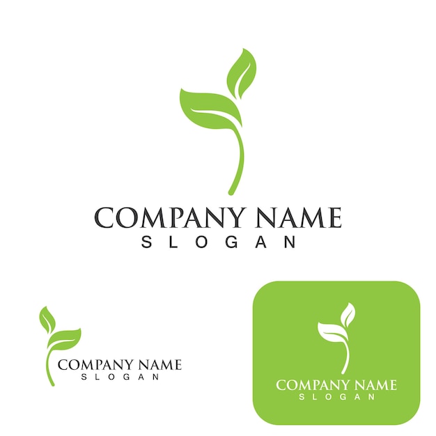 Green leaf nature logo ecology vector image