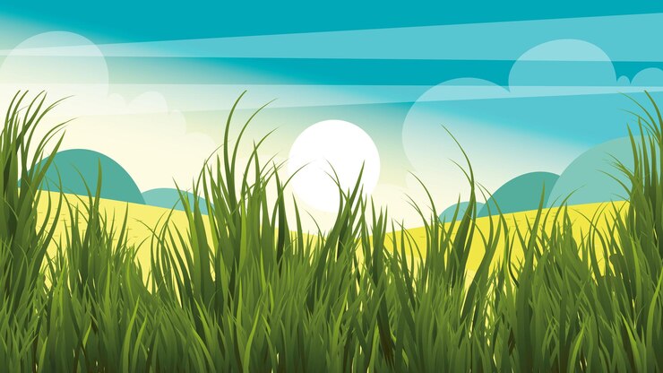 Vector green nature scenery with grass