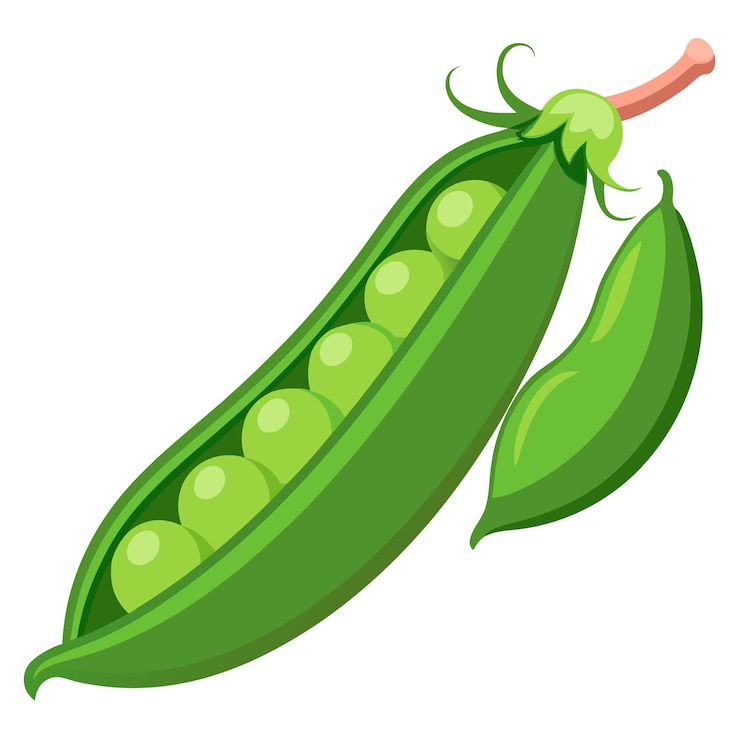 Vector green peas clipart cartoon style vector illustration