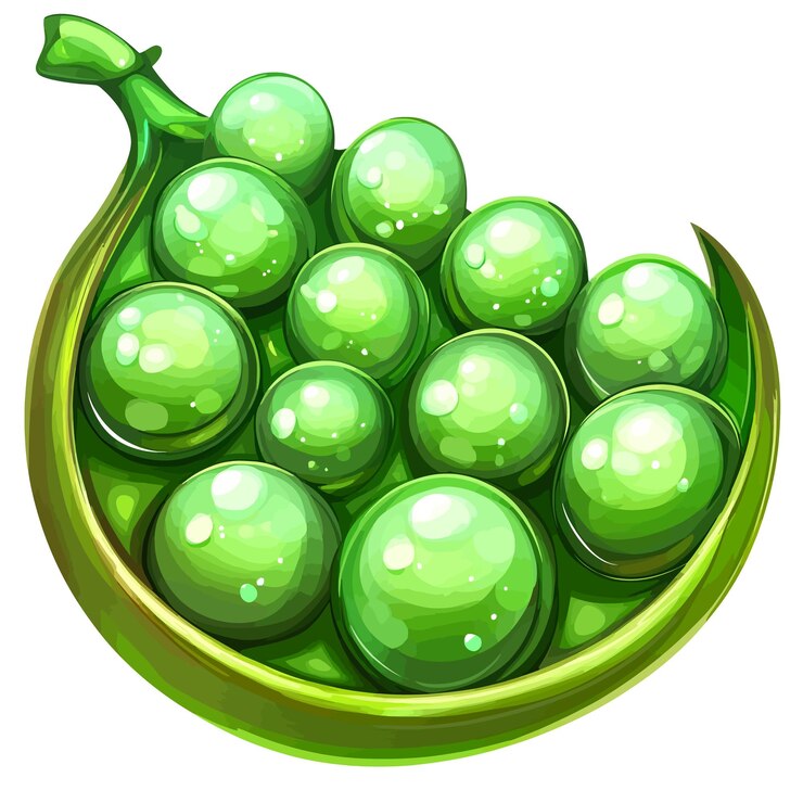 Vector green peas in a pod a delicious and fresh vegetable