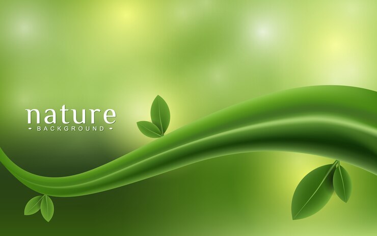 Green plant on the bokeh background