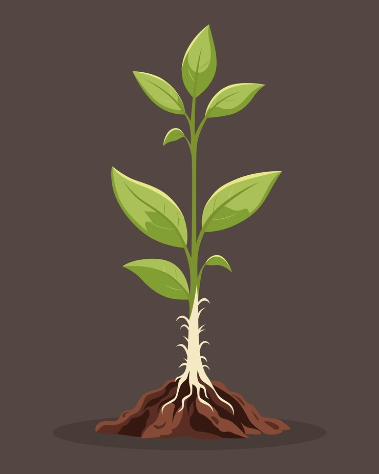 Vector growing green plant in the soil vector illustration