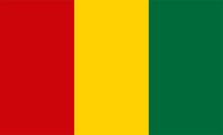 Vector guinea flag design illustrations vectors