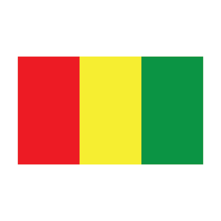 Vector guinea flag icon