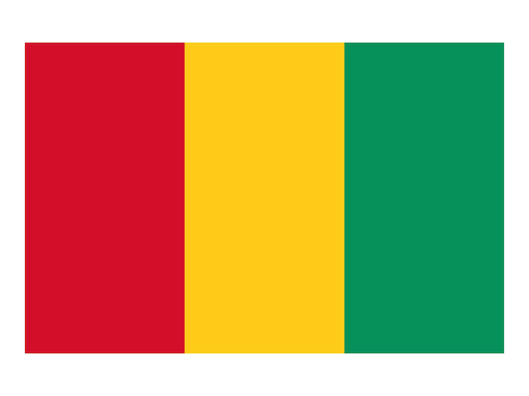 Vector guinea flag official country flag world flag icon international flag icon official country sign