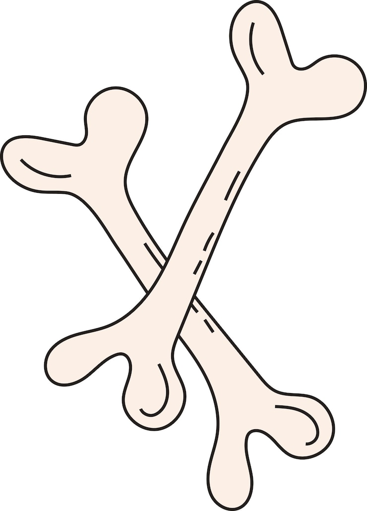Vector halloween bone handdrawn illustration element