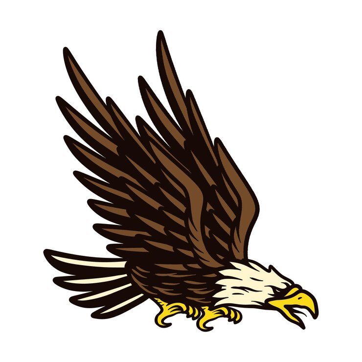 Vector hand drawing eagle american mascot symbol logo element vector illustration