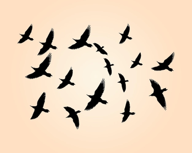 Hand drawn birds silhouette illustration